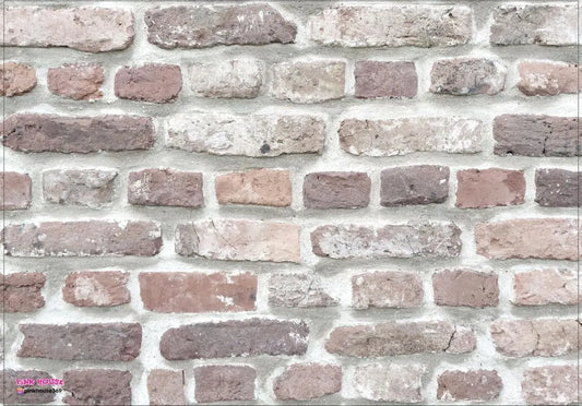 White Marble Photography Background Pink House