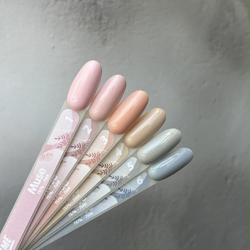 MUSE COLLECTION BUNDLE