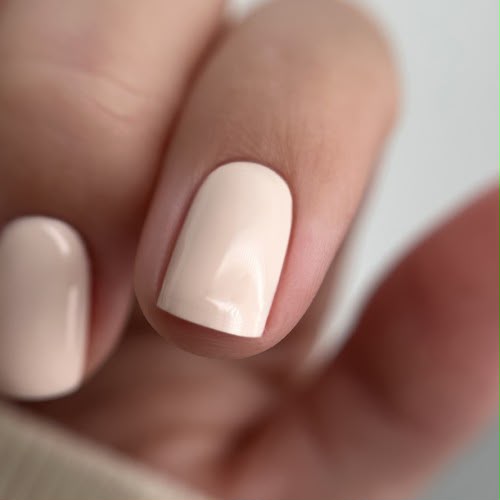 TEDDY COLOR GEL COLLECTION Y.ME